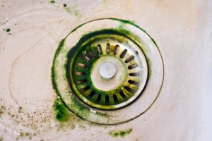 Mold Remediation: What to Save and What to Discard